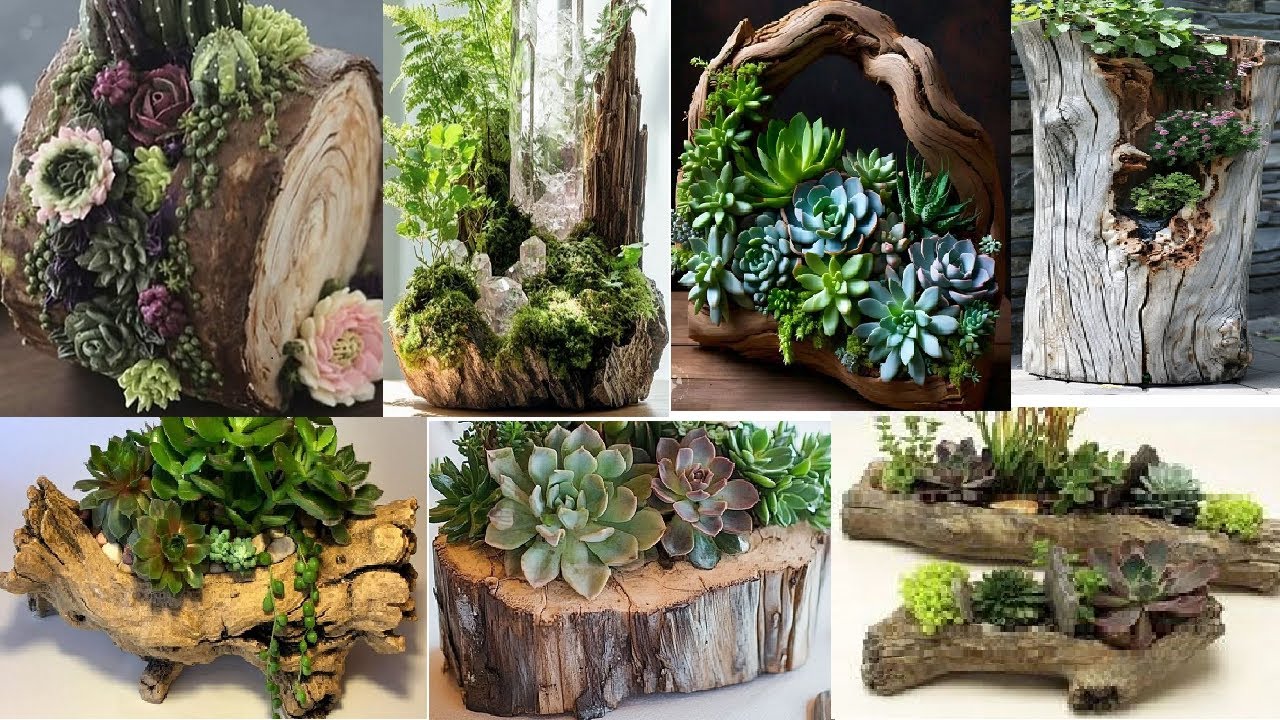 Rustic Wood Log Planters Beautiful Indoor Planting & Decor Ideas