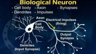 CS607_Lecture39