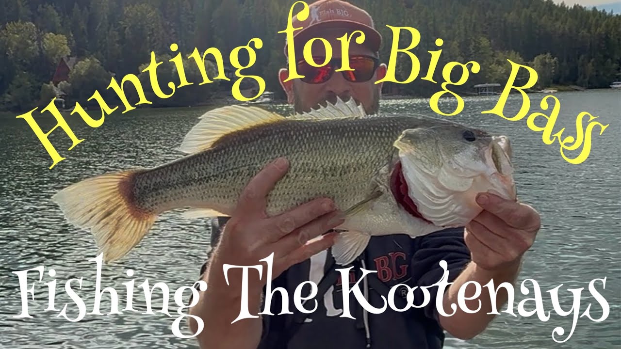 Hunting For Big Bass – Fishing The Kootenays