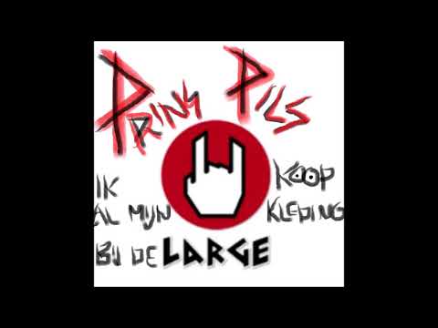 Prins Pils Polder Punk Projekt - Ik haat folk metal, maar die bassist...