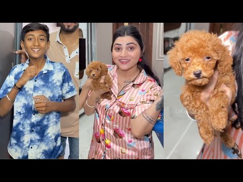 Kajal पप्पी ko नेहला di || golu kajal soni new shorts comedy films|viral comedy flims #kajalsoni