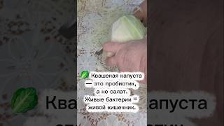 Самый лучший суперфуд по-русски