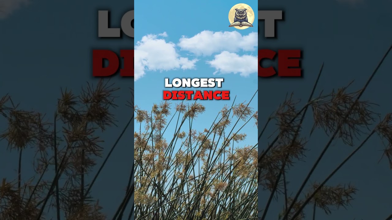 I've Learned- That (7) 