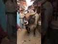 Bull Rampage in the village market #reallife #automobile #travel