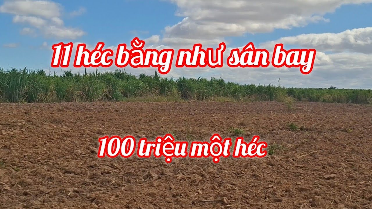 (386) Siêu rẻ đất bằng như sân bay, ô tô vào tận nơi, easúp Đăk lắc. 