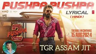 Pushpp Pushpp Hindi Song Aull Ajun 2 Gan Full Song