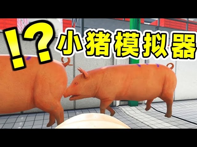 小猪模拟器：真实体验猪的视角，进入屠宰场那一刻，我知道要完了- YouTube