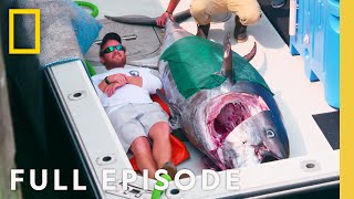 Wicked Tuna: The Big Bluefins (Full Episode) | National Geographic