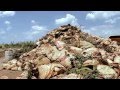 Commercial Compost operation by Deffenbaugh in Kansas City