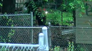Arson, death investigation