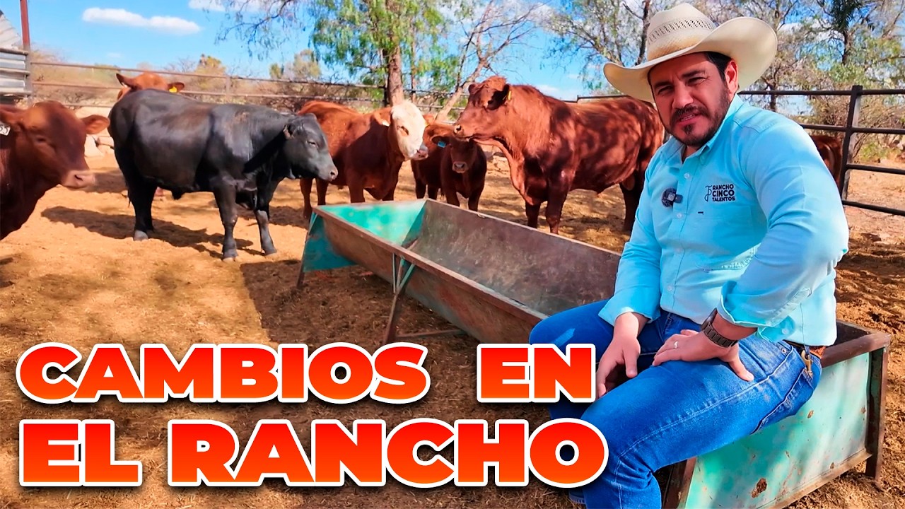 HICIMOS CAMBIOS PARA MEJORAR EN EL RANCHO | Rancho Cinco Talentos