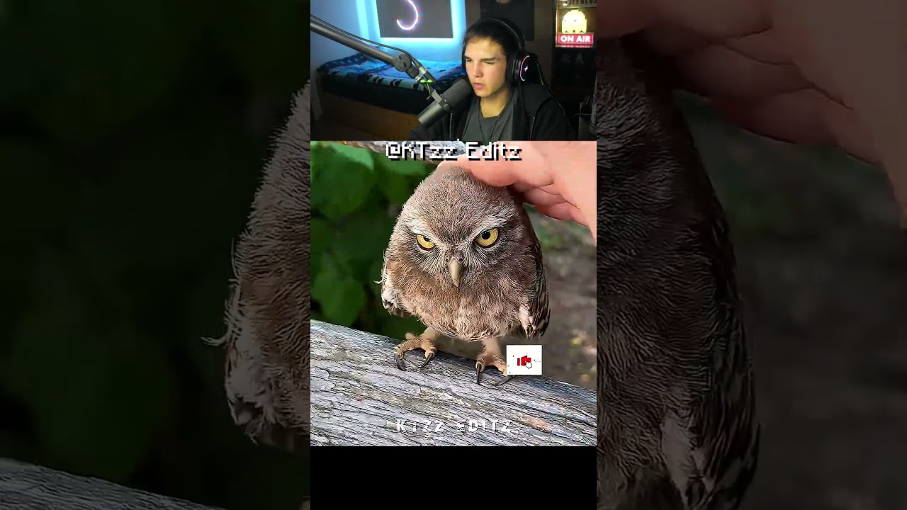 EULEN SIND NICHT GRUSELIG VS DIESE?!!...🤨 (Reaktion) #minecraftshorts