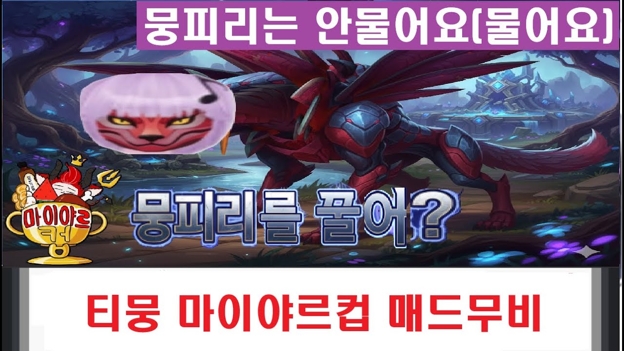 티뭉 마이야르컵  매드무비