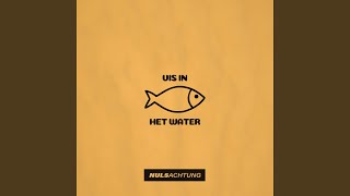 Vis In Het Water