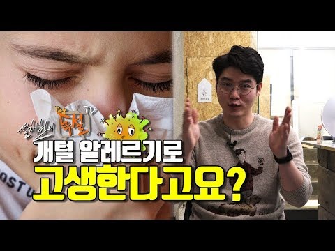 [설채현 수의학]개털 3탄_개털 알레르기있는 당신! 개 키우면  될까? 안 될까?