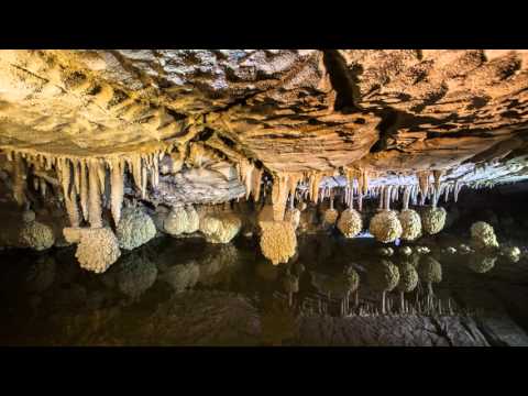 ბუნების მუსიკა