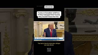 Trump on Canadian wildfires: “If they managed their forests, they wouldn't have the fire.”