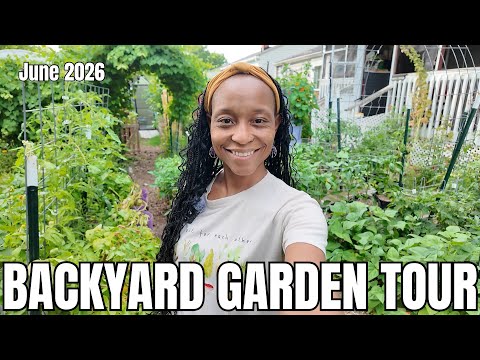 Urban Backyard Garden Tour + Chickens | Main Walkway Loading | June 2026 | Virginia, Zone 7B