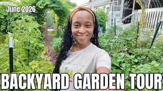 Urban Backyard Garden Tour + Chickens | Main Walkway Loading | June 2026 | Virginia, Zone 7B