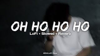 Oh Ho Ho Ho - Full LoFi + Slowed + Reverb Song | Sukhbir | Hindi Medium | Remix Version |