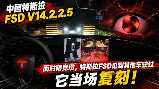 FSD sees a car clear narrow bollards and instantly copies it | Tesla FSD in China