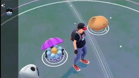 Shundo Clamperl Pokemon Go Pgsharp 100 iv Shiny✨Huntail Register Pokedex First Time