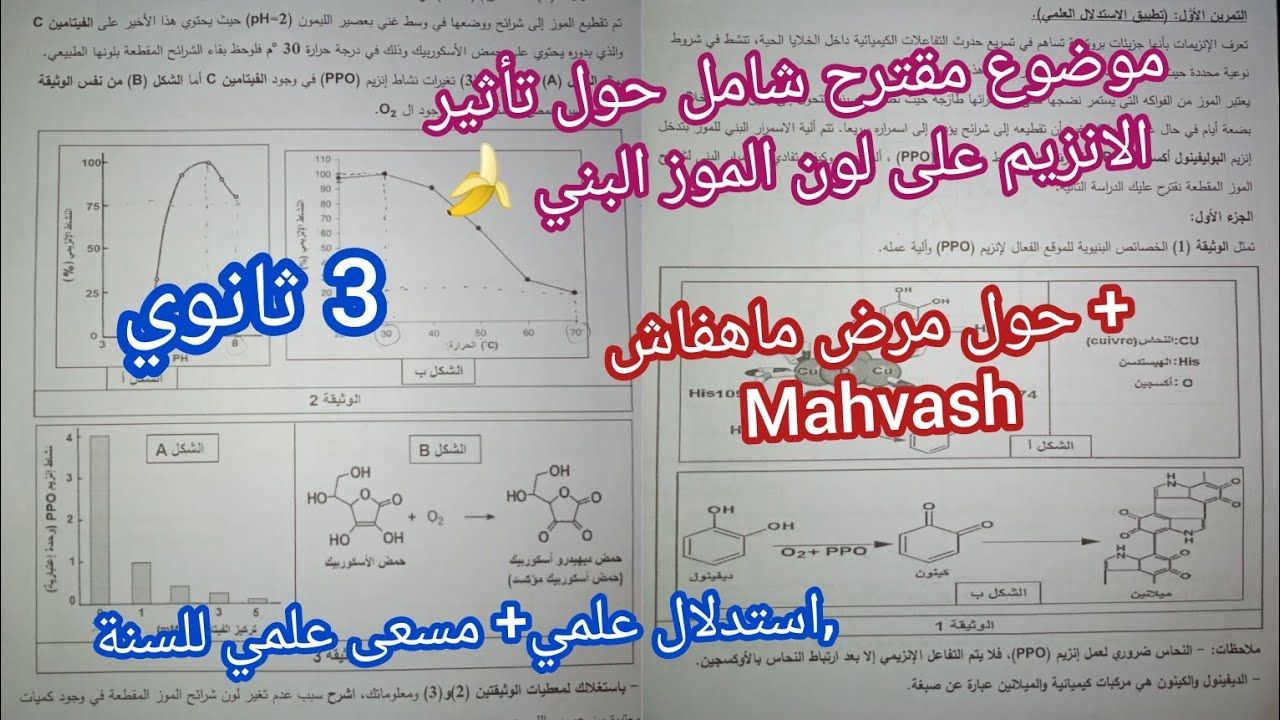 موضوع مقترح شامل في العلوم [حول تأثير الانزيم على لون الموز البني 🍌]/للسنة 3 ثانوي/بكالوريا