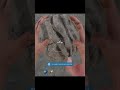 metal ore