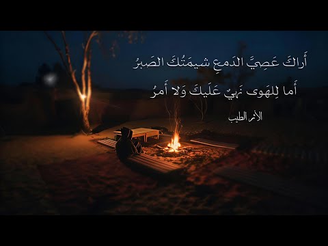 I See You Defiant Of Tears Your Nature Is Patience Osama Al Wa Iz