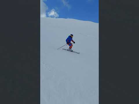 Ski Nordica Dept plate, Manoushlight 3