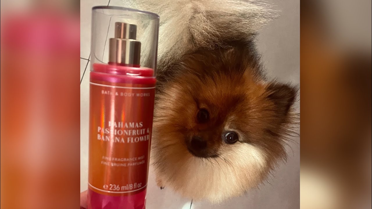 Come profumare tutto il giorno 🧡☀️