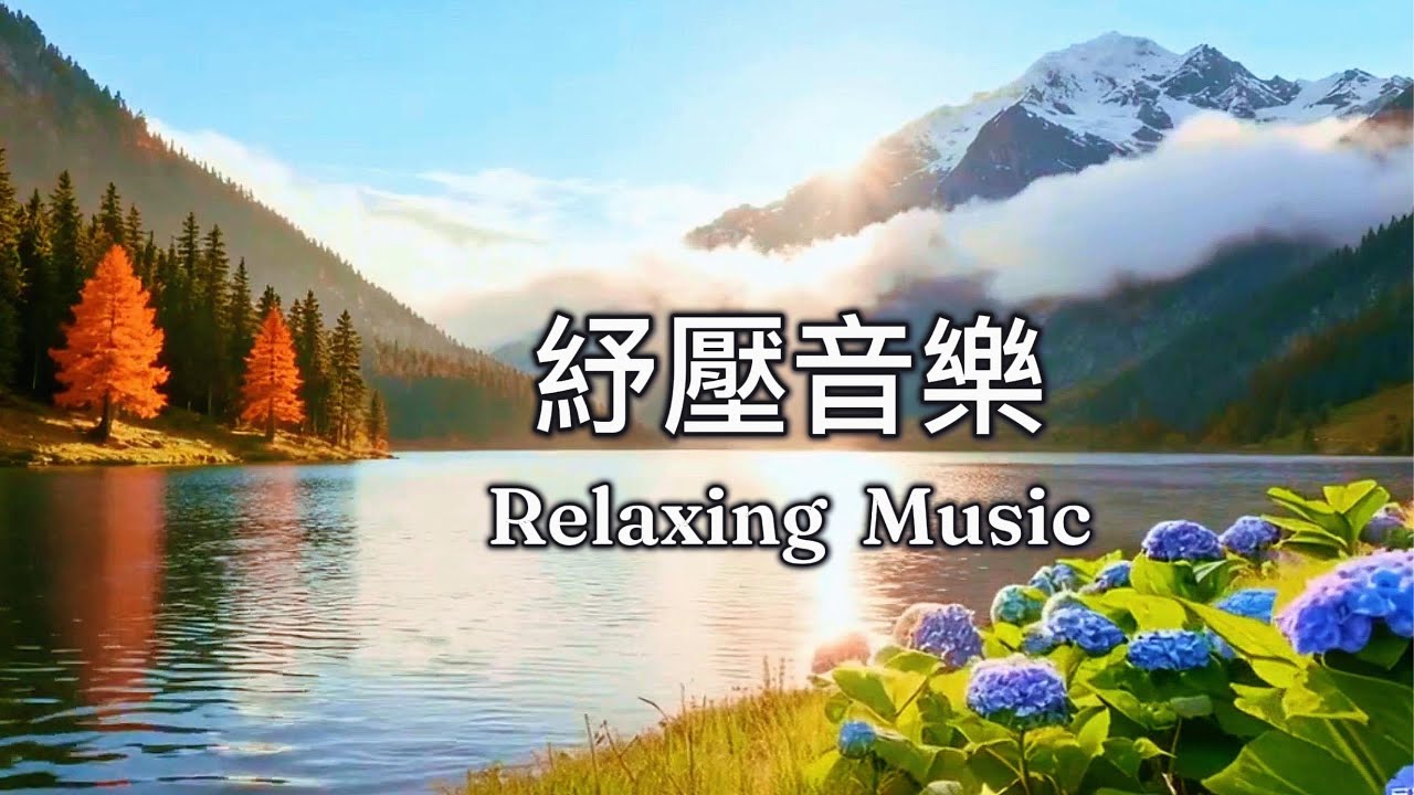 【🎶紓壓音樂 森林琴聲🌿】 治癒解壓 l 早晨喚醒  l 鋼琴 . 弦樂 . 高山. 湖畔 l 紓壓音樂 l 療癒旋律  l 工作BGM l 瑪菲斯心靈莊園 l Mavis Soul Manor