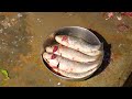 Small Fishes vs Big Sword Challenge | Indian Fish Market