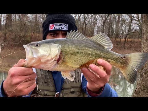 Winter bass fishing with a Wacky Puss!!