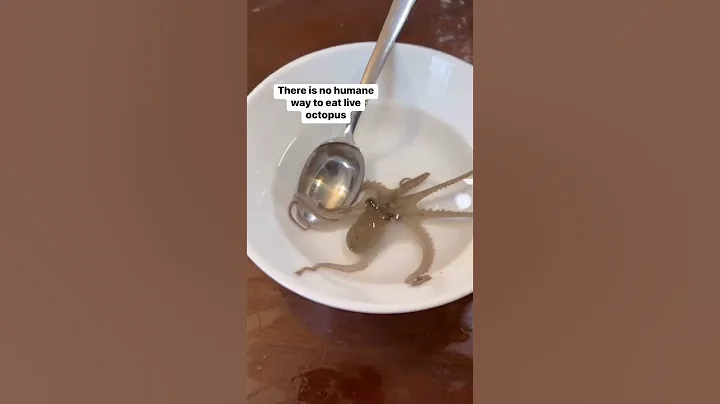 YOU SHOULD NEVER EAT A LIVE OCTOPUS - DayDayNews