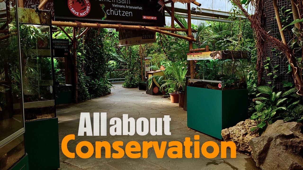 В этом зоопарке все направлено на сохранение природы @Koelner_Zoo