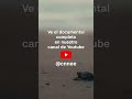 Un encuentro con la tortuga marina más grande del mundo
