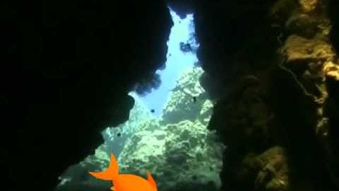 AVS4YOU Video Editor Presents: Sample Project