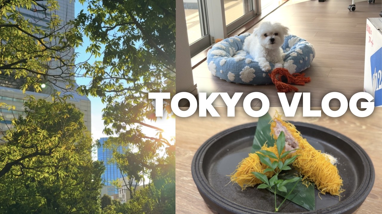 말고기 먹기 그리고 이사와 삼시세끼 배달의 민족 🗼 | 이치란 라멘 🍜 | 마라 엽떡 🌶️ | 드디어 이사 ! 🚚📦 | Tokyo Vlog | 도쿄 브이로그