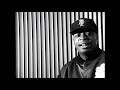 Public Enemy - Replacement for Shut Em Down