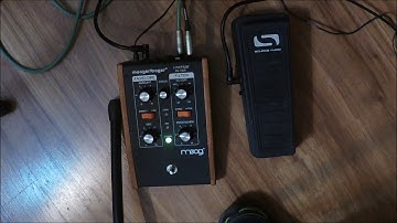 MOOG MF 101 Low Pass Filter W/ Source Audio Expression Pedal (Part 1)