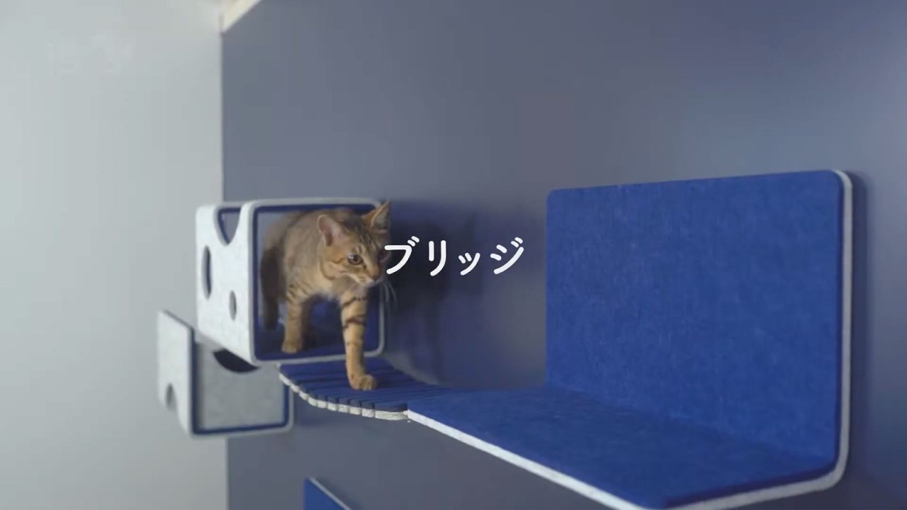 LIXIL】猫壁 （にゃんぺき）ブリッジ コンセプトムービー - YouTube