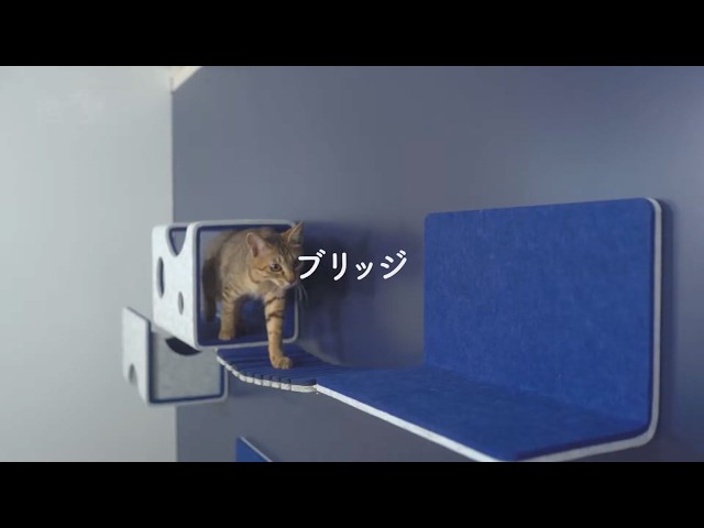 LIXIL猫壁(にゃんぺき)パーツ　☆ブリッジ☆ LIXIL】猫壁 （にゃんぺき）ブリッジ コンセプトムービー - YouTube