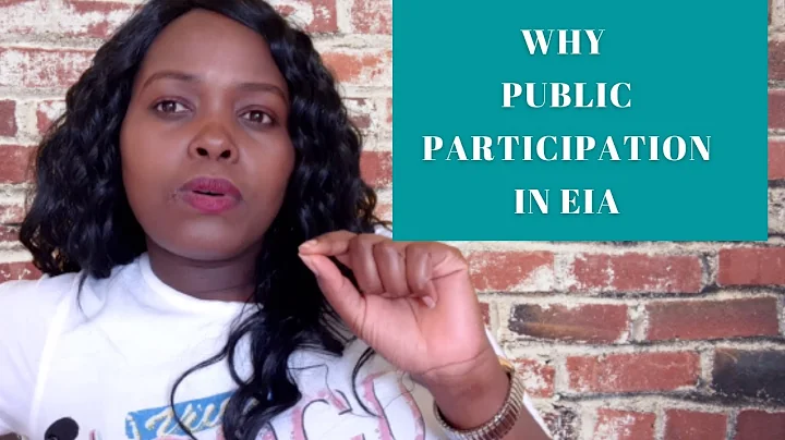 Why Public Participation Matters in the EIA Process