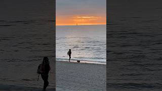 Heute auf Sylt 🐶❤️ Süßer kleiner Hund spielt Ball an der Nordseeküste (30.09.2025)