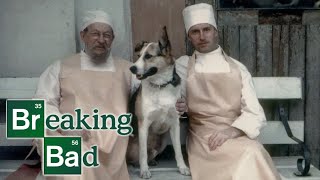 Собачье сердце, но в стиле Breaking Bad