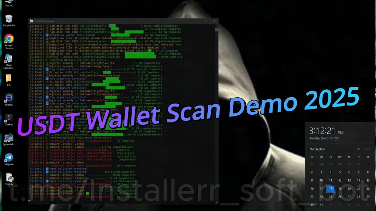 🔎 USDT Wallet Scan Demo 2025 — TRC20 Balance Detection Tool in Action