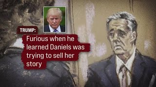 Former President Trump On Trial: Michael Cohen Takes The Stand