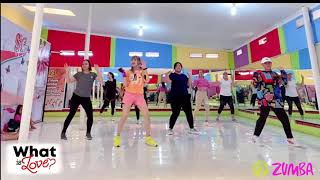  Twice - What Is Love Zumba Zin Momoi