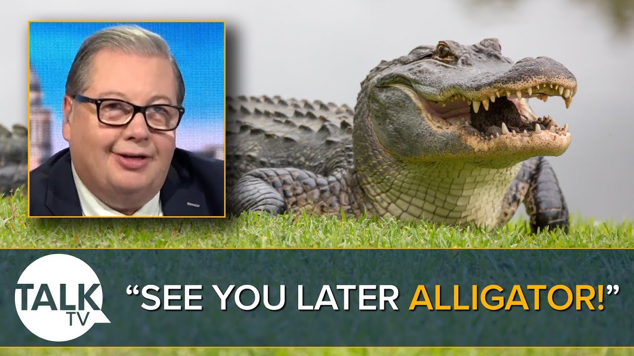 "See You Later Alligator!" Mike Graham Talks Emotional Support